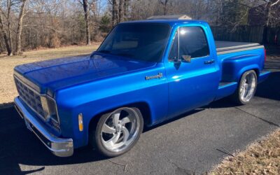 Chevrolet C/K Pickup 1500  1981 à vendre