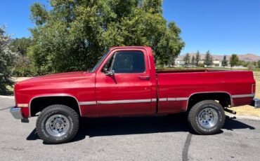 Chevrolet-CK-Pickup-1500-1987-1