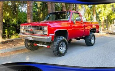 Chevrolet-CK-Pickup-1500-Pickup-1984-1