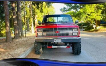 Chevrolet-CK-Pickup-1500-Pickup-1984-2