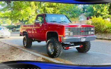 Chevrolet-CK-Pickup-1500-Pickup-1984-3