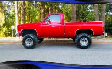 Chevrolet C/K Pickup 1500 Pickup 1984