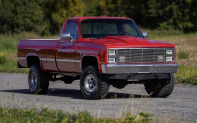 Chevrolet C/K Pickup 1500 Pickup 1985 à vendre