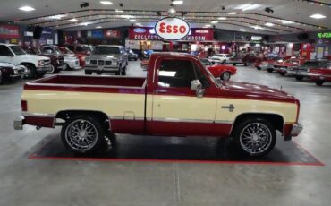 Chevrolet-CK-Pickup-1500-Pickup-1987-24