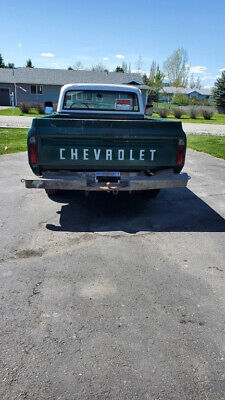 Chevrolet-CK-Pickup-2500-Pickup-1969-4