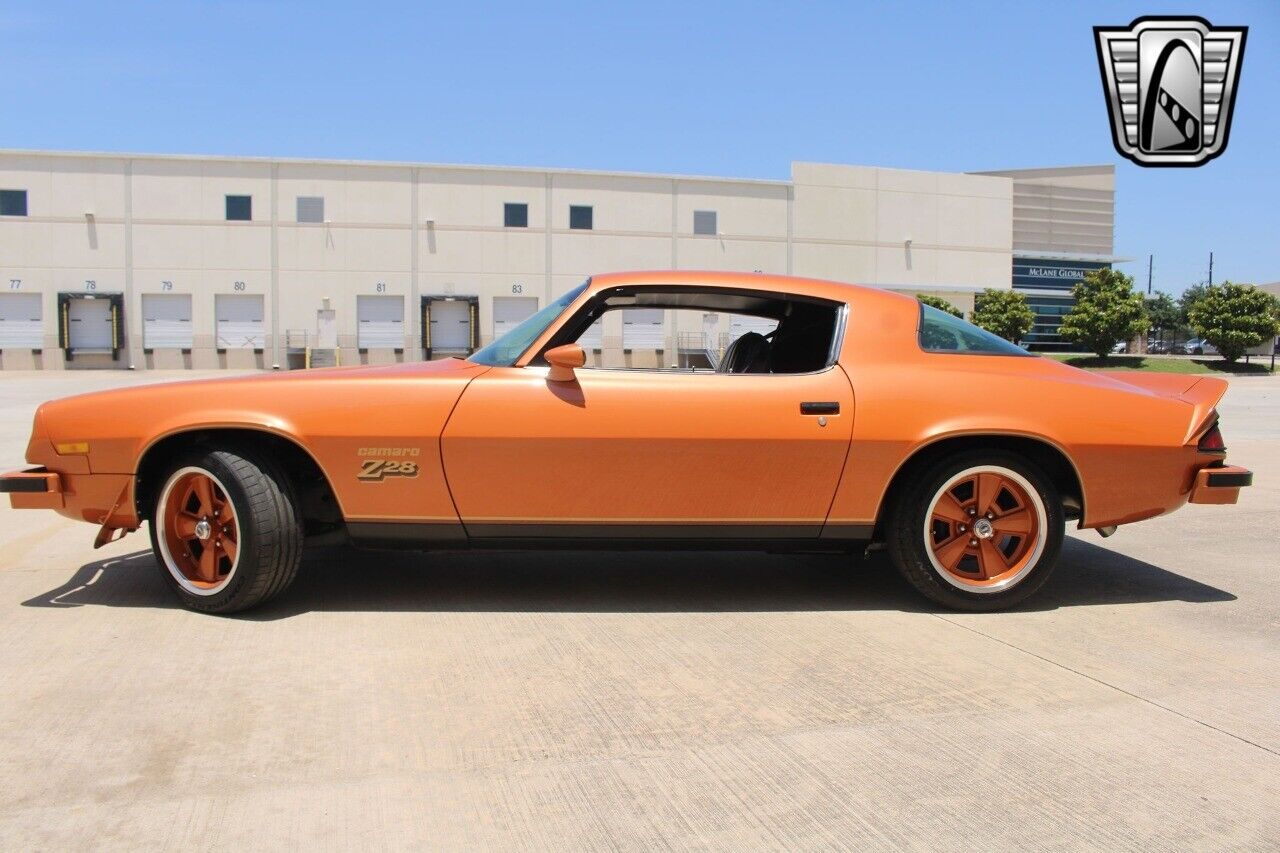 Chevrolet-Camaro-1977-3