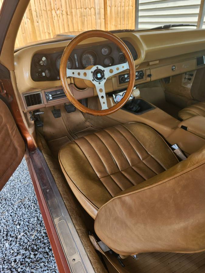 Chevrolet-Camaro-1978-8