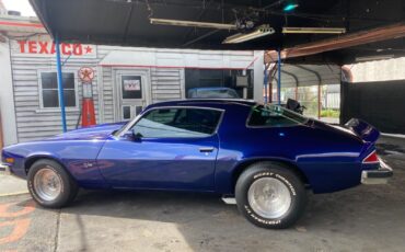 Chevrolet-Camaro-Coupe-1977-14