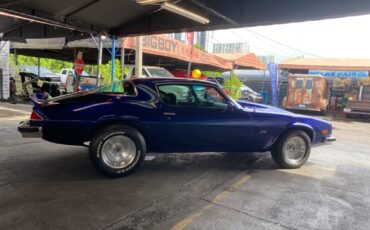 Chevrolet-Camaro-Coupe-1977-8