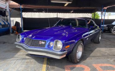 Chevrolet-Camaro-Coupe-1977-9