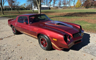 Chevrolet-Camaro-Coupe-1979-10