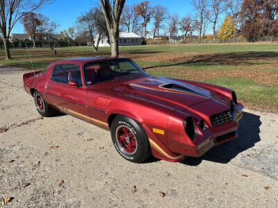 Chevrolet-Camaro-Coupe-1979-10