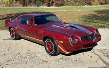 Chevrolet-Camaro-Coupe-1979-11