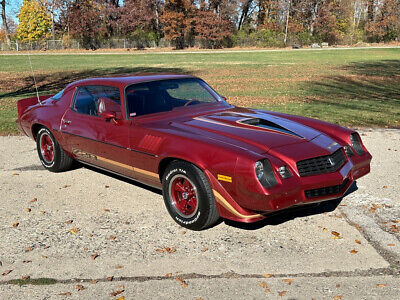 Chevrolet-Camaro-Coupe-1979-11