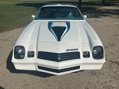 Chevrolet-Camaro-Coupe-1979-12