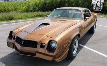 Chevrolet-Camaro-Coupe-1979-2