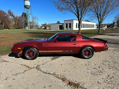 Chevrolet-Camaro-Coupe-1979-3