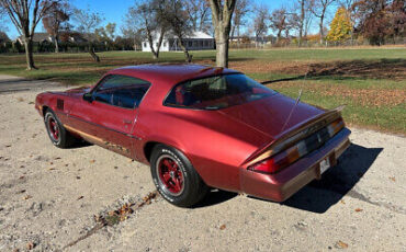 Chevrolet-Camaro-Coupe-1979-4