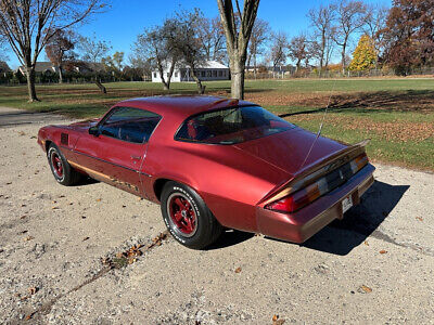 Chevrolet-Camaro-Coupe-1979-4