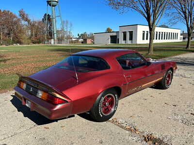 Chevrolet-Camaro-Coupe-1979-7