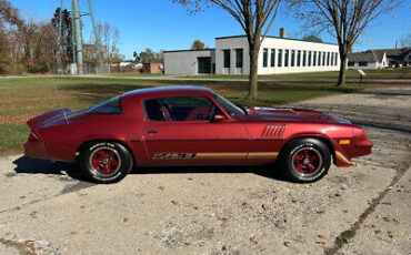 Chevrolet-Camaro-Coupe-1979-9