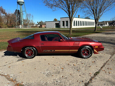 Chevrolet-Camaro-Coupe-1979-9