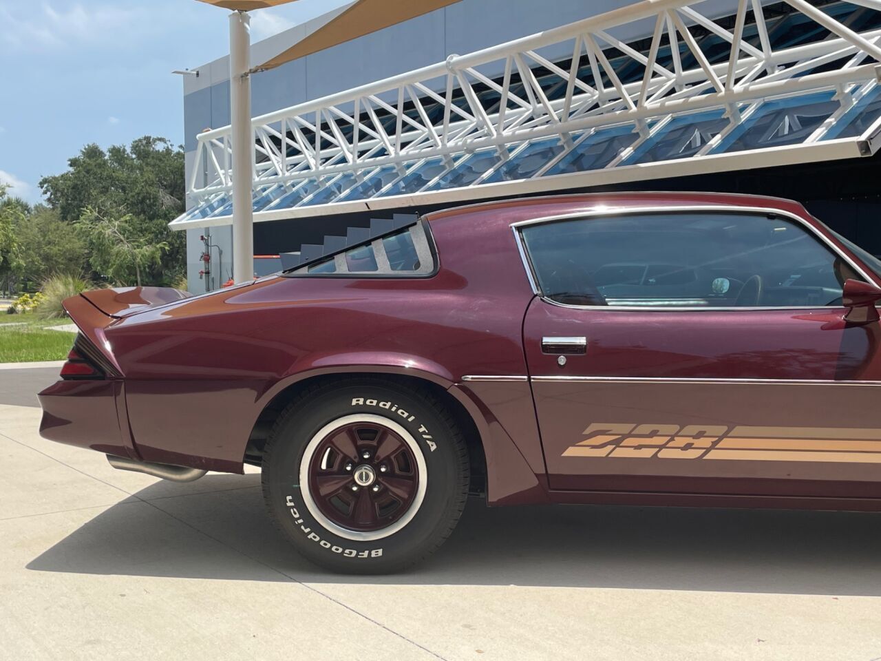 Chevrolet-Camaro-Coupe-1981-5