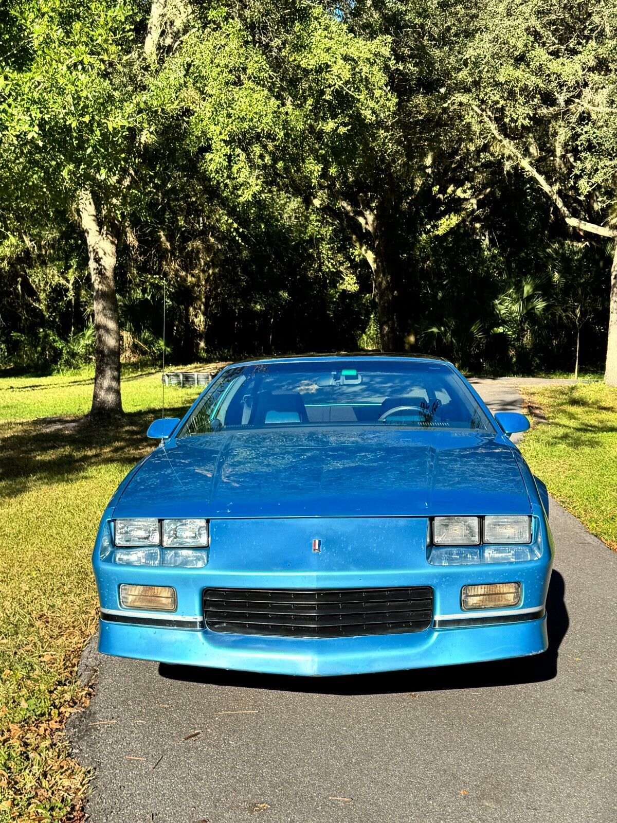 Chevrolet-Camaro-Coupe-1989-1