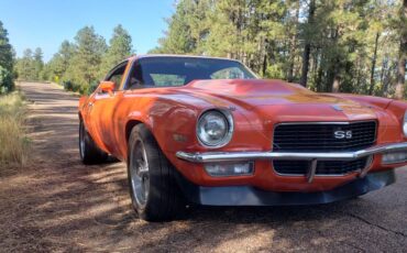 Chevrolet-Camaro-ss-1970-14