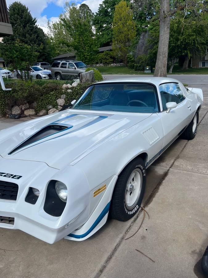 Chevrolet-Camaro-z28-1979-8