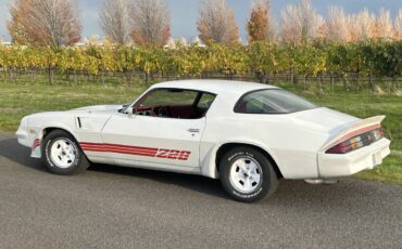 Chevrolet-Camaro-z28-1980-4