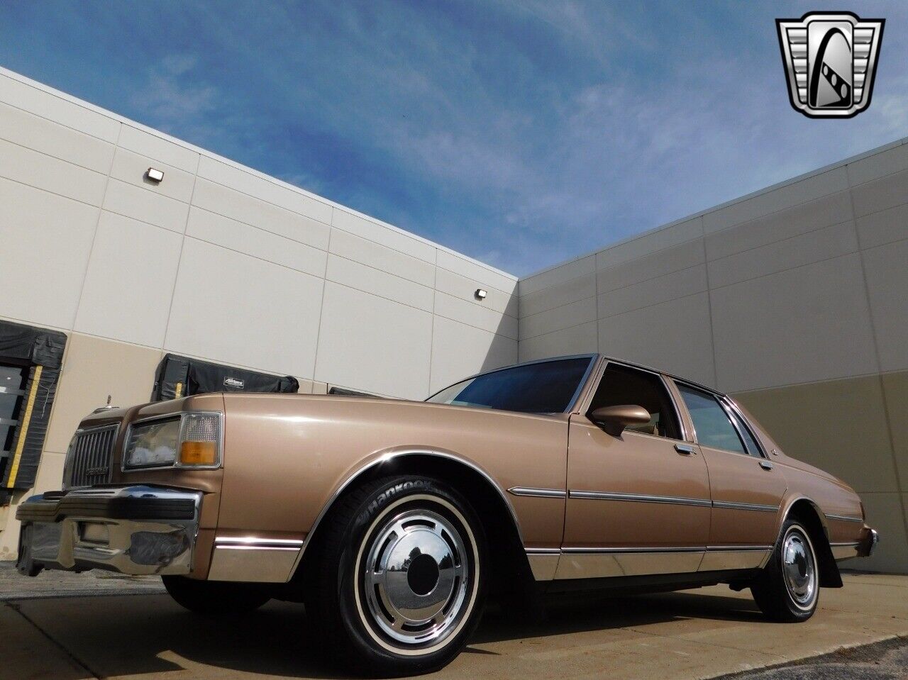 Chevrolet-Caprice-1989-9