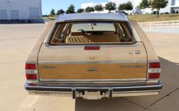 Chevrolet-Caprice-Cabriolet-1986-5