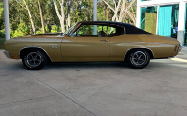 Chevrolet-Chevelle-1970-10