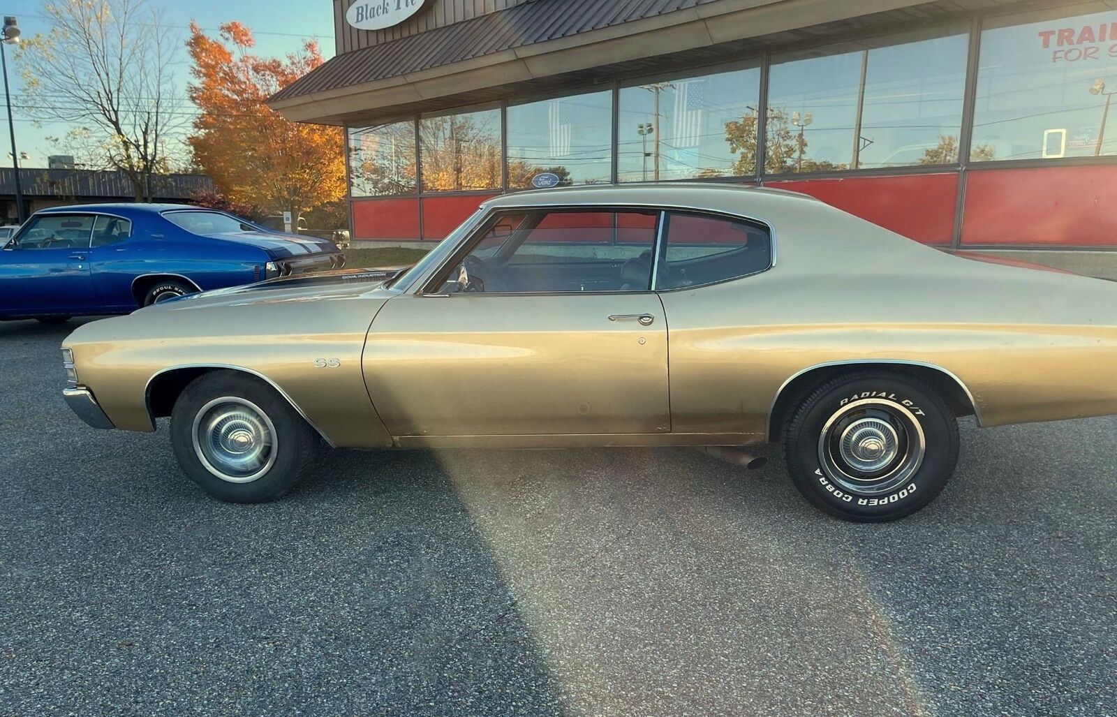 Chevrolet-Chevelle-1971-7