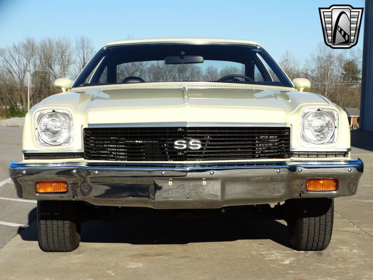 Chevrolet-Chevelle-1973-2