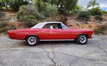 Chevrolet-Chevelle-Cabriolet-1966-10