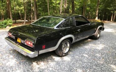 Chevrolet-Chevelle-malibu-1974-1