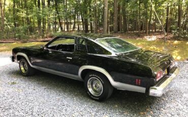 Chevrolet-Chevelle-malibu-1974-2