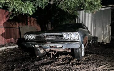 Chevrolet-Chevelle-ss-396-1969-16