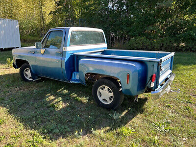 Chevrolet-Cheyenne-10-1973-2