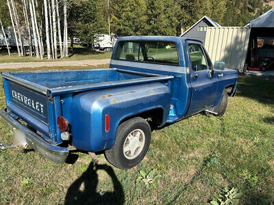 Chevrolet-Cheyenne-10-1973-4