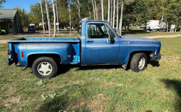 Chevrolet-Cheyenne-10-1973-5