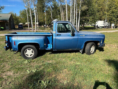 Chevrolet-Cheyenne-10-1973-5