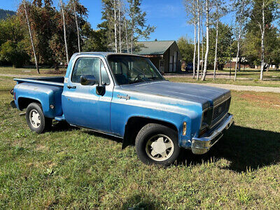 Chevrolet-Cheyenne-10-1973-6