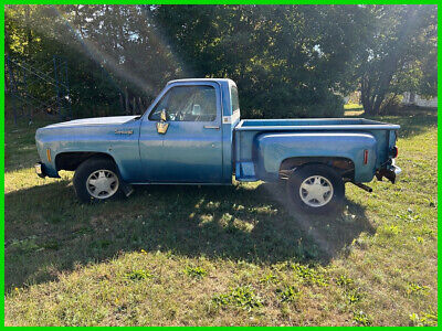 Chevrolet Cheyenne 10 1973 à vendre