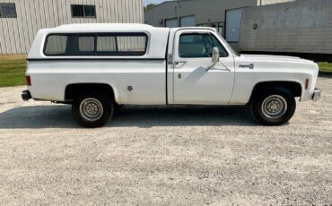 Chevrolet-Cheyenne-1976-1