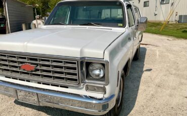 Chevrolet-Cheyenne-1976-10