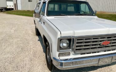 Chevrolet-Cheyenne-1976-11