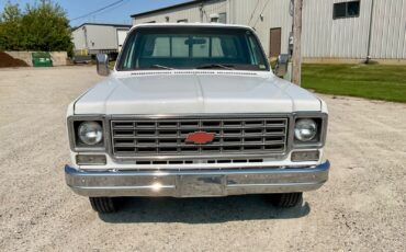 Chevrolet-Cheyenne-1976-12